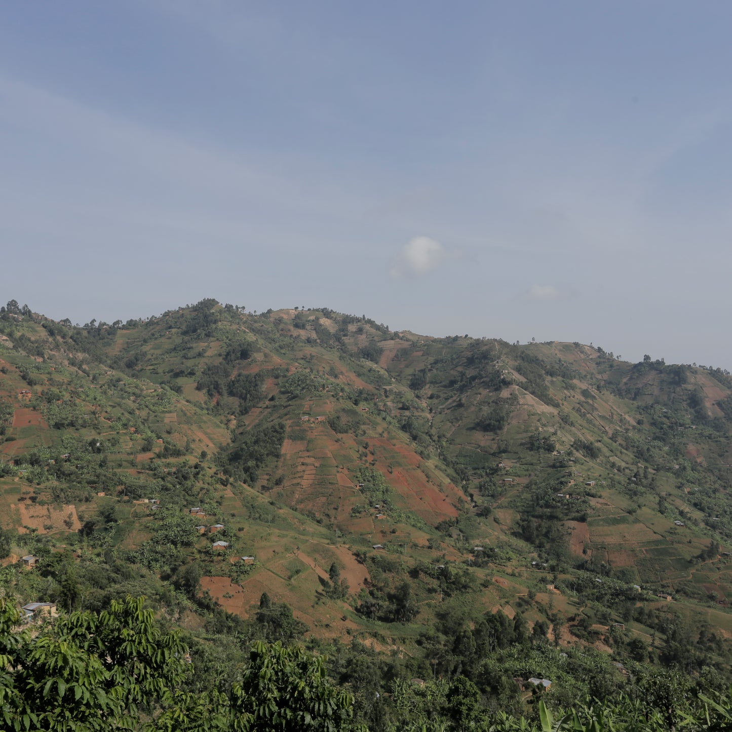 Burundi - Kinama Hill